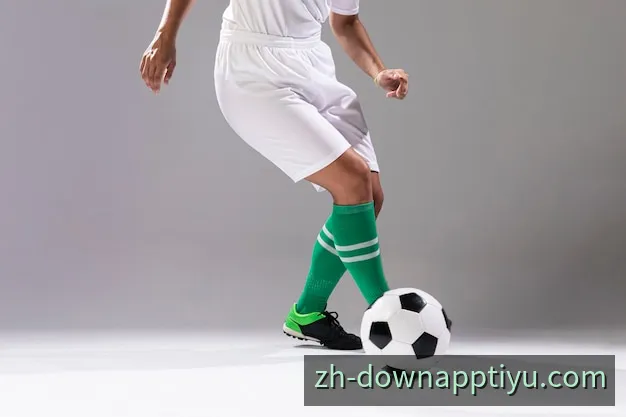 中文体育APP交互与实时数据终端界面预览